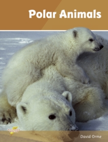 Polar Animals : Set 4, Paperback Book Polar Animals : Set 4, Paperback Book