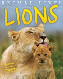 Animal Lives: Lions, Paperback Book Animal Lives: Lions, Paperback Book