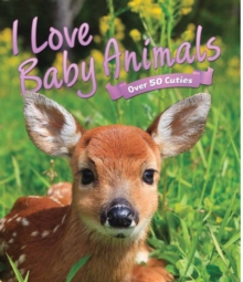 I Love: Baby Animals, Hardback Book I Love: Baby Animals, Hardback Book