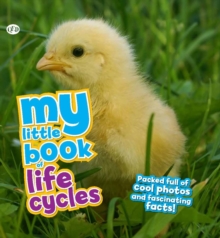 My Little Book of Lifecycles, Hardback Book My Little Book of Lifecycles, Hardback Book