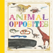 First Concept: Animal Opposites, Hardback Book First Concept: Animal Opposites, Hardback Book