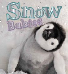 Snow Babies, Paperback Snow Babies, Paperback