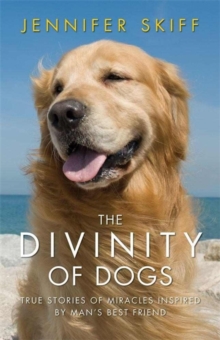 The Divinity of Dogs : True Stories of Miracles Inspired by Man's Best Friend, Paperback Book The Divinity of Dogs : True Stories of Miracles Inspired by Man's Best Friend, Paperback Book