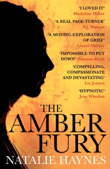 The Amber Fury, Paperback Book The Amber Fury, Paperback Book