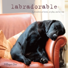 Labradorable : Labradors at Home, at Large, and at Play, Hardback Book Labradorable : Labradors at Home, at Large, and at Play, Hardback Book
