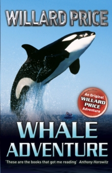 Whale Adventure, Paperback Book Whale Adventure, Paperback Book