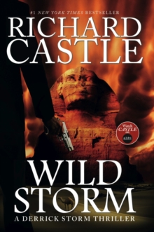 Wild Storm : A Derrick Storm Novel, Hardback Book Wild Storm : A Derrick Storm Novel, Hardback Book