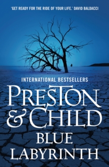 Blue Labyrinth, Paperback Book Blue Labyrinth, Paperback Book