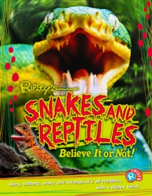 Snakes and Reptiles, Paperback Snakes and Reptiles, Paperback