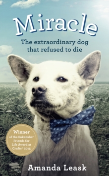 Miracle, Hardback Book Miracle, Hardback Book