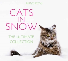 Cats in Snow : The Ultimate Collection, Hardback Book Cats in Snow : The Ultimate Collection, Hardback Book