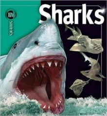 Sharks, Hardback Book Sharks, Hardback Book