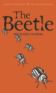 The Beetle : A Mystery, Paperback Book The Beetle : A Mystery, Paperback Book