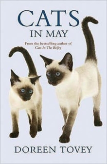 Cats in May, Paperback Book Cats in May, Paperback Book