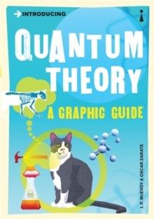 Introducing Quantum Theory : A Graphic Guide, Paperback Book Introducing Quantum Theory : A Graphic Guide, Paperback Book