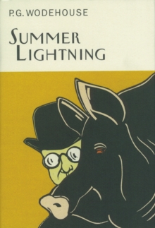 Summer Lightning, Hardback Book Summer Lightning, Hardback Book