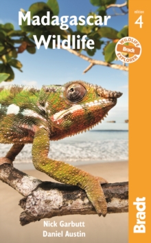 Madagascar Wildlife, Paperback Madagascar Wildlife, Paperback