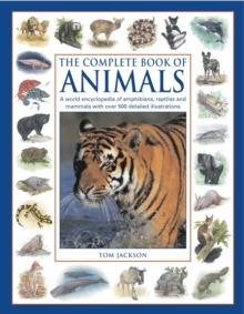 The Complete Book of Animals : A World Encyclopedia of Amphibians, Reptiles and Mammals with Over 500 Detailed Illustrations, Paperback The Complete Book of Animals : A World Encyclopedia of Amphibians, Reptiles and Mammals with Over 500 Detailed Illustrations, Paperback