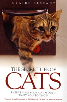 The Secret Life of Cats : Everything Your Cat Would Want You to Know, Paperback The Secret Life of Cats : Everything Your Cat Would Want You to Know, Paperback