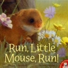 Run, Little Mouse, Run!, Paperback Book Run, Little Mouse, Run!, Paperback Book