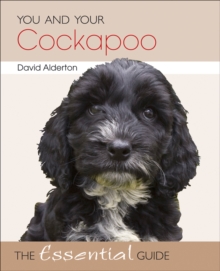 You and Your Cockapoo : The Essential Guide, Paperback Book You and Your Cockapoo : The Essential Guide, Paperback Book