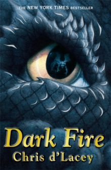 Dark Fire, Paperback Book Dark Fire, Paperback Book
