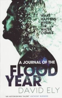 A Journal of the Flood Year, Paperback Book A Journal of the Flood Year, Paperback Book