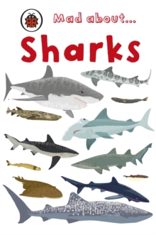 Mad About Sharks, Hardback Mad About Sharks, Hardback