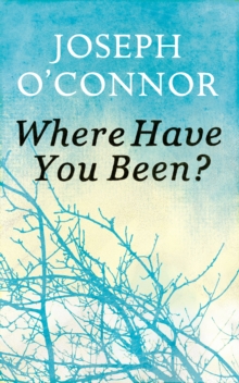 Where Have You Been?, Hardback Book Where Have You Been?, Hardback Book