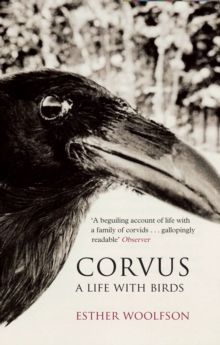 Corvus : A Life with Birds, Paperback Book Corvus : A Life with Birds, Paperback Book