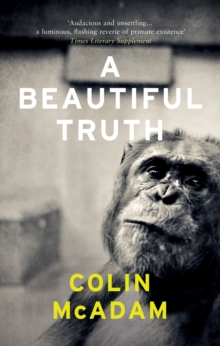 A Beautiful Truth, Paperback Book A Beautiful Truth, Paperback Book