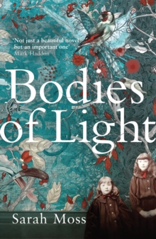 Bodies of Light, Paperback Book Bodies of Light, Paperback Book