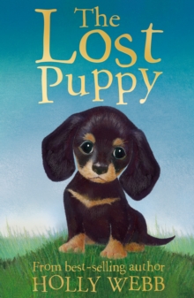 The Lost Puppy, Paperback The Lost Puppy, Paperback