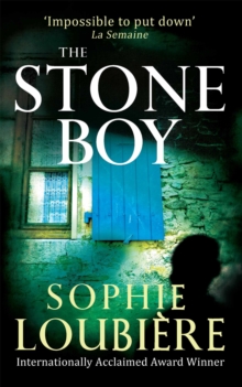 The Stone Boy, Paperback The Stone Boy, Paperback