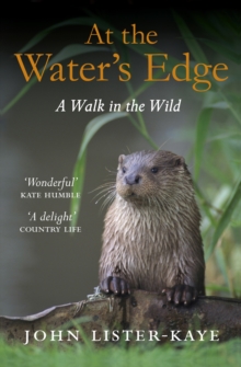 At the Water's Edge : A Walk in the Wild, Paperback Book At the Water's Edge : A Walk in the Wild, Paperback Book