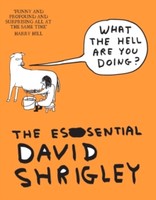 What the Hell are You Doing?: the Essential David Shrigley, Paperback Book What the Hell are You Doing?: the Essential David Shrigley, Paperback Book
