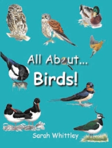 All About Birds, Hardback Book All About Birds, Hardback Book
