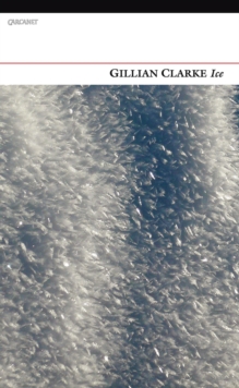 Ice, Paperback Book Ice, Paperback Book