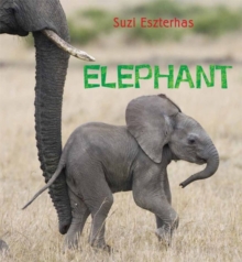 Elephant, Hardback Book Elephant, Hardback Book