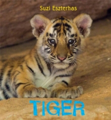 Tiger, Hardback Book Tiger, Hardback Book