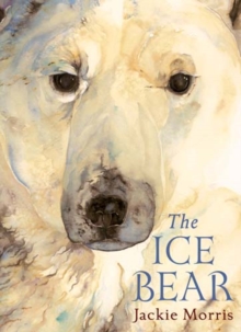 The Ice Bear, Hardback Book The Ice Bear, Hardback Book