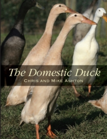 The Domestic Duck, Paperback Book The Domestic Duck, Paperback Book