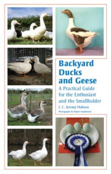 Backyard Ducks and Geese : A Practical Guide for the Enthusiast and the Smallholder, Hardback Book Backyard Ducks and Geese : A Practical Guide for the Enthusiast and the Smallholder, Hardback Book