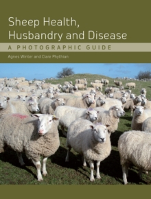 Sheep Health, Husbandry and Disease : A Photographic Guide, Hardback Book Sheep Health, Husbandry and Disease : A Photographic Guide, Hardback Book