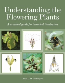 Understanding the Flowering Plants : A Practical Guide for Botanical Illustrators, Paperback Understanding the Flowering Plants : A Practical Guide for Botanical Illustrators, Paperback