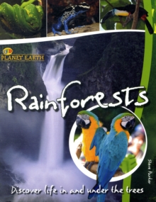 Rainforests : Discover Life in the Trees, Paperback Book Rainforests : Discover Life in the Trees, Paperback Book