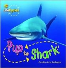 Lifecycles: Pup to Shark, Paperback Book Lifecycles: Pup to Shark, Paperback Book