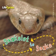 Life Cycles: Snakelet to Snake, Paperback Book Life Cycles: Snakelet to Snake, Paperback Book
