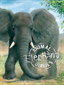 Animal Diaries: Elephant, Paperback Book Animal Diaries: Elephant, Paperback Book