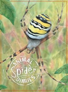 Animal Diaries: Spider, Paperback Book Animal Diaries: Spider, Paperback Book
